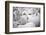 Goats in Andalucia, Spain, Europe-John Alexander-Framed Photographic Print