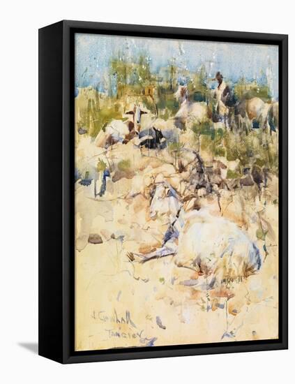 Goats on a Hillside, Tangier (W/C with Touches of Gouache on Paper)-Joseph Crawhall-Framed Premier Image Canvas