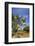 Goats on Tree, Morocco, North Africa, Africa-Jochen Schlenker-Framed Photographic Print