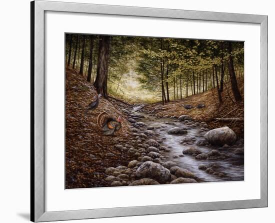 Gobbler Run-John Morrow-Framed Giclee Print