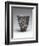 Gobelet tronconique-null-Framed Giclee Print