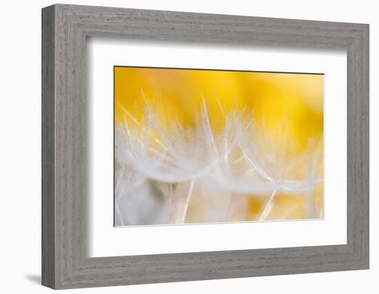 Goblets of light-Marco Carmassi-Framed Photographic Print