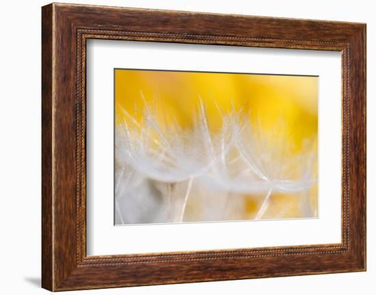 Goblets of light-Marco Carmassi-Framed Photographic Print