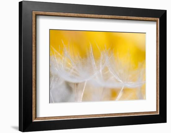 Goblets of light-Marco Carmassi-Framed Photographic Print