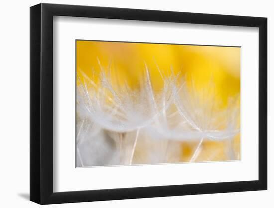 Goblets of light-Marco Carmassi-Framed Photographic Print