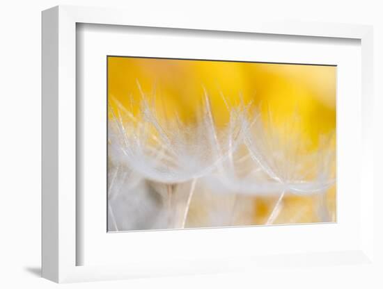 Goblets of light-Marco Carmassi-Framed Photographic Print