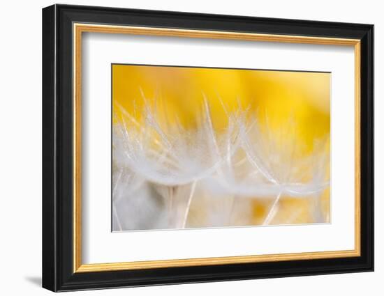 Goblets of light-Marco Carmassi-Framed Photographic Print