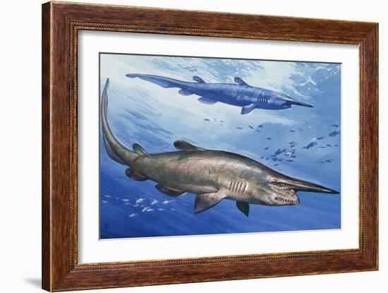 Goblin Shark (Mitsukurina Owstoni or Scapanorhynchus Owstoni), Mitsukurinidae-null-Framed Giclee Print