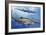 Goblin Shark (Mitsukurina Owstoni or Scapanorhynchus Owstoni), Mitsukurinidae-null-Framed Giclee Print