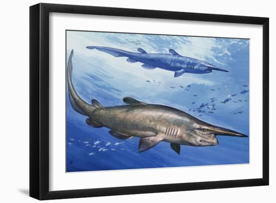 Goblin Shark (Mitsukurina Owstoni or Scapanorhynchus Owstoni), Mitsukurinidae-null-Framed Giclee Print