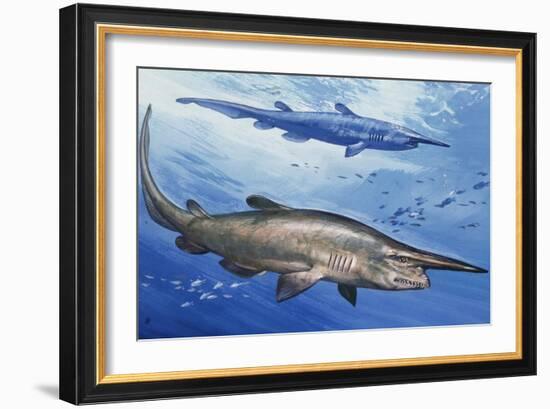 Goblin Shark (Mitsukurina Owstoni or Scapanorhynchus Owstoni), Mitsukurinidae-null-Framed Giclee Print