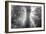 God Beams and The Redwoods (Black and White)-Vincent James-Framed Photographic Print