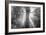 God Beams and The Redwoods (Black and White)-Vincent James-Framed Photographic Print