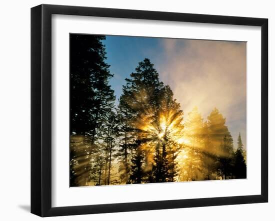 God Rays from Morning Fog Along the Madison River, Yellowstone National Park, Wyoming, USA-Chuck Haney-Framed Photographic Print