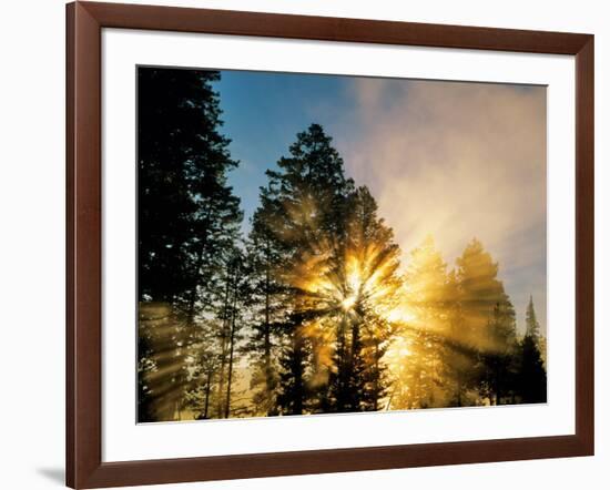 God Rays from Morning Fog Along the Madison River, Yellowstone National Park, Wyoming, USA-Chuck Haney-Framed Photographic Print