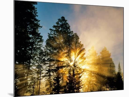 God Rays from Morning Fog Along the Madison River, Yellowstone National Park, Wyoming, USA-Chuck Haney-Mounted Photographic Print