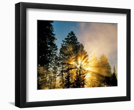 God Rays from Morning Fog Along the Madison River, Yellowstone National Park, Wyoming, USA-Chuck Haney-Framed Premium Photographic Print