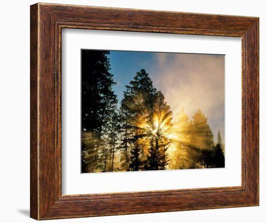 God Rays from Morning Fog Along the Madison River, Yellowstone National Park, Wyoming, USA-Chuck Haney-Framed Photographic Print