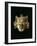 God Xipe Totec, Gold Mask, called Nuestro Senor el Desollado-null-Framed Photographic Print