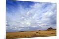 Photographic Print