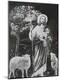 Photographic Print
