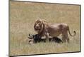 Photographic Print