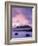 Godrevy Lighthouse at dusk, St. Ives Bay, Cornwall, England-Ross Hoddinott-Framed Photographic Print