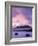 Godrevy Lighthouse at dusk, St. Ives Bay, Cornwall, England-Ross Hoddinott-Framed Photographic Print