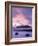 Godrevy Lighthouse at dusk, St. Ives Bay, Cornwall, England-Ross Hoddinott-Framed Photographic Print