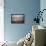 Godwit GetTogether-Vincent James-Framed Premier Image Canvas displayed on a wall