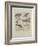 Godwits and Curlews, C.1915 (W/C & Bodycolour over Pencil on Board)-Archibald Thorburn-Framed Giclee Print