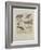 Godwits and Curlews, C.1915 (W/C & Bodycolour over Pencil on Board)-Archibald Thorburn-Framed Giclee Print