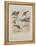 Godwits and Curlews, C.1915 (W/C & Bodycolour over Pencil on Board)-Archibald Thorburn-Framed Premier Image Canvas