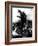 Godzilla, (AKA Gojira), Godzilla, 1954-null-Framed Photo