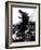 Godzilla, (AKA Gojira), Godzilla, 1954-null-Framed Photo