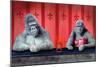 Goin Ape Down at the Monkey Bars-Will Bullas-Mounted Giclee Print