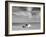 Going Fishing-Doug Chinnery-Framed Photographic Print