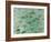 Going Green-Farrell Douglass-Framed Giclee Print