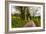 Going Home-Mark Gemmell-Framed Photographic Print