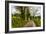 Going Home-Mark Gemmell-Framed Photographic Print