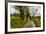 Going Home-Mark Gemmell-Framed Photographic Print