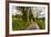 Going Home-Mark Gemmell-Framed Photographic Print