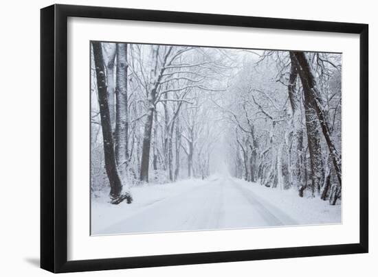 Going Home-null-Framed Art Print