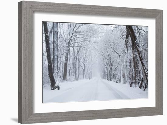 Going Home-null-Framed Premium Giclee Print