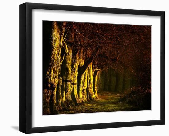 Going My Way II-Doug Chinnery-Framed Photographic Print