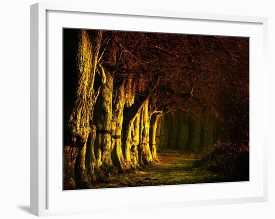 Going My Way II-Doug Chinnery-Framed Photographic Print