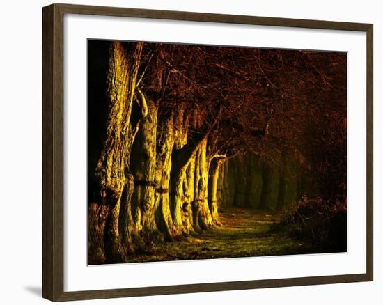 Going My Way II-Doug Chinnery-Framed Photographic Print