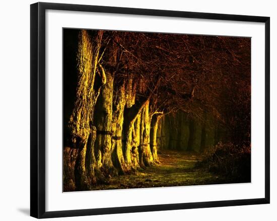 Going My Way II-Doug Chinnery-Framed Photographic Print