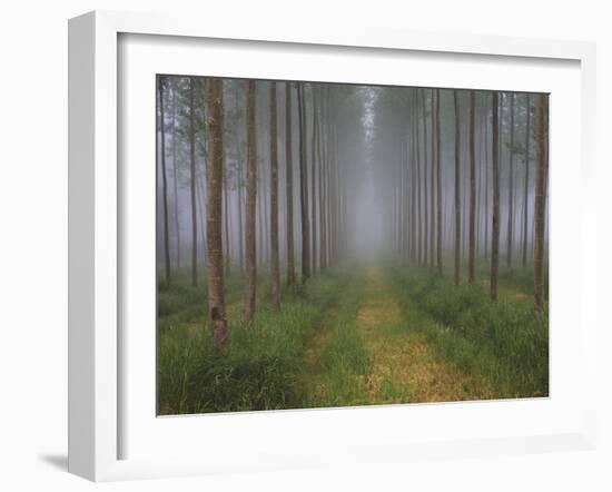 Going My Way IIi-Doug Chinnery-Framed Photographic Print