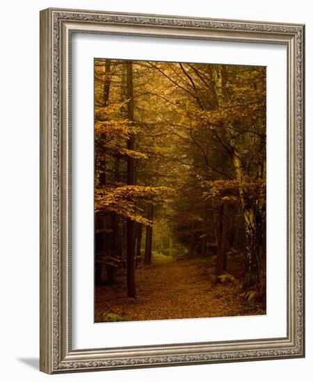 Going My Way V-Doug Chinnery-Framed Photographic Print